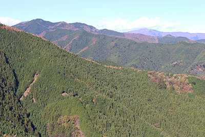 浅間尾根と奥に見える鷹ノ巣山方面の写真