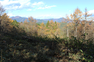 土俵岳から見た御前山と大岳山の写真