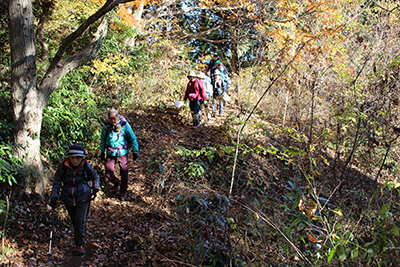 紅葉した山道を歩いている写真