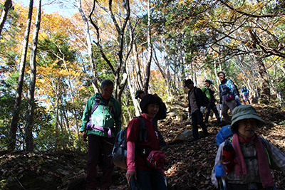 紅葉と青空の下を歩いている写真