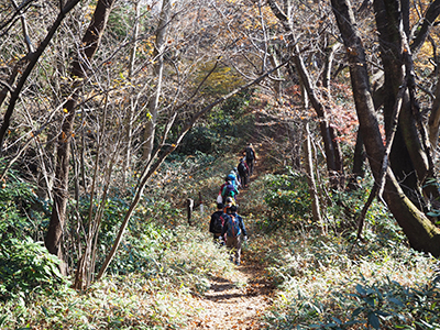 Iさんが撮影した穏やかな登山道を歩いている写真