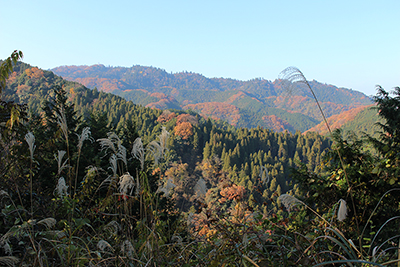 高尾山方面の写真