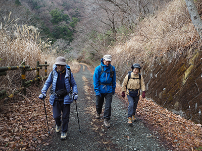 林道を歩きはじめた写真