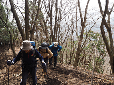 さらにぐんぐん登っている写真