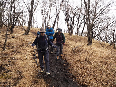 鍋割山への尾根を歩いている写真