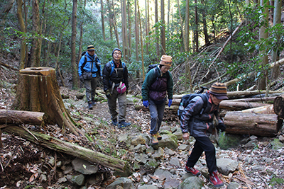 沢状のところに付けられた登山道を歩いている写真