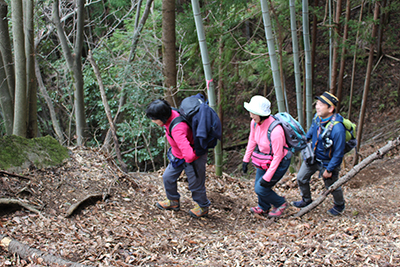 尾根に出る手前の竹林を登っている写真