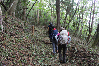 山道を登っている写真