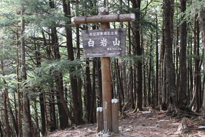 白岩山の山頂標識の写真