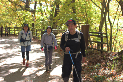紅葉した林道を歩いている写真