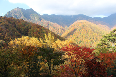 大展望台から見た鶏冠山方面の写真