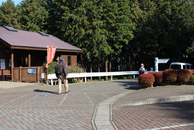 公園内を歩いている写真
