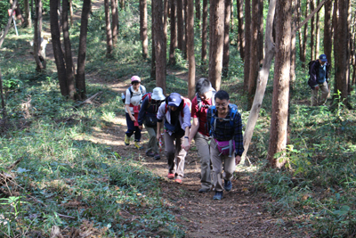山頂近くの道を登っている写真