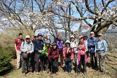 美の山山頂の桜の木の下での集合写真