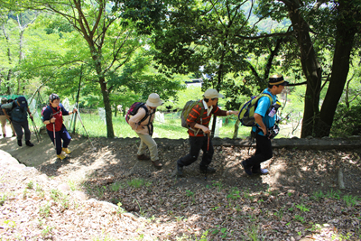 丸山公園を過ぎ、山頂に向けて登っている写真