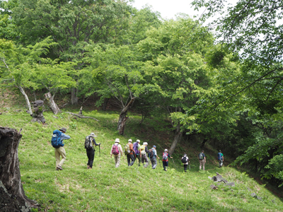 Ｉさんが撮影した下山路ではない道を下っている写真