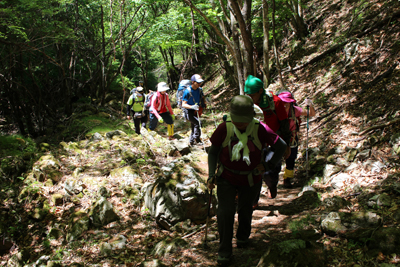沢沿いの登山道を歩いている写真