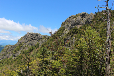 登山道から見た御座山山頂の写真