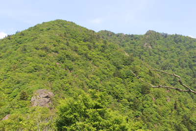 鍵掛峠への尾根から振り返った鬼ヶ嶽方面の写真