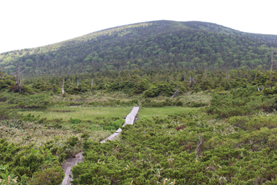 景場平の湿原と東吾妻山の写真