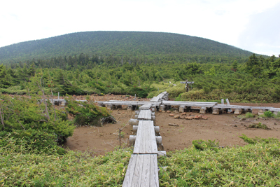 姥ヶ原の分岐と東吾妻山の写真