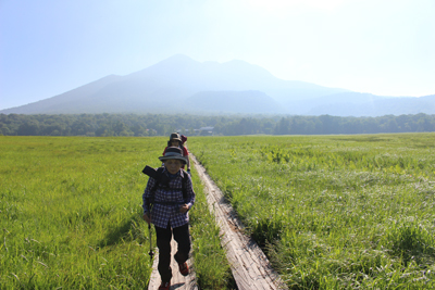 燧ヶ岳を背に木道を歩いている写真
