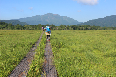 広い湿原の中の木道を歩いている写真