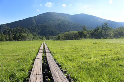 誰もいない木道と至仏山の写真