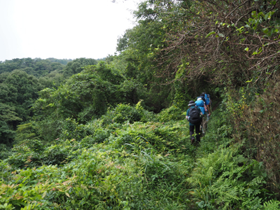 Iさんが撮影した草むした登山道を歩いている写真