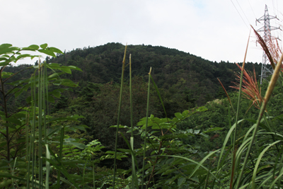 振り返って見た羽黒山の写真
