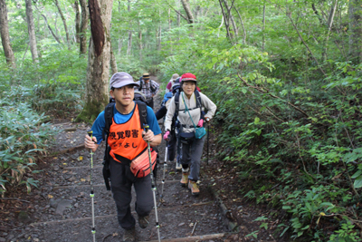 階段の続く登山道を登っている写真