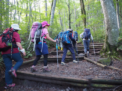 広い階段の登山道を登っている写真