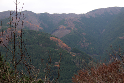 向かいの山の斜面の写真
