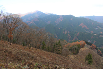御前山の写真