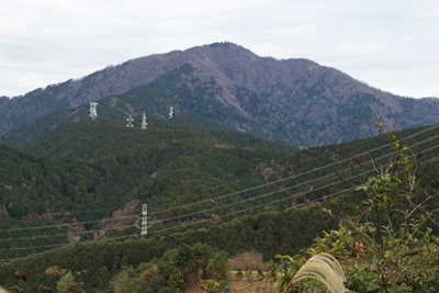 東京ゴルフ場から見た大山の写真