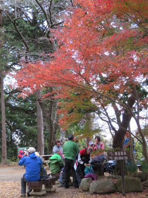 Mさんが撮影した紅葉した木下で休憩中の写真