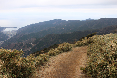 整備された登山道と戸田湾方面の写真