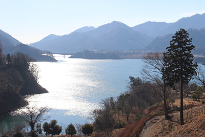 鳥居原ふれあいの館から見た湖面の光る宮ヶ瀬湖の写真