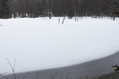 純白の雪原の写真