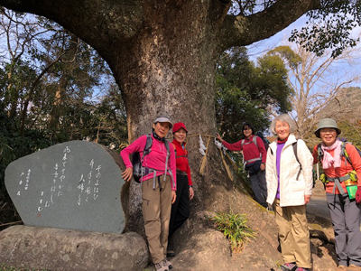 平群天神社ないの歌碑と大きな木の前での集合写真