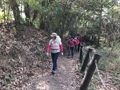 平坦な山道を歩いている写真