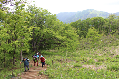 生藤山を背にして山頂直下の階段を登っている写真