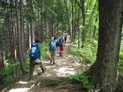 Iさんが撮影した平らな尾根の登山道を歩いている写真