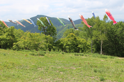 陣馬山頂の連なった鯉のぼりと生藤山の写真