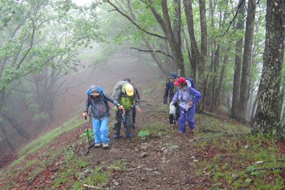 六つ星山山頂直下を登っている写真