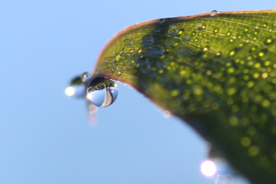 水滴の中に見える風景の写真