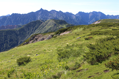 双六岳への尾根～見た槍穂高連峰の写真