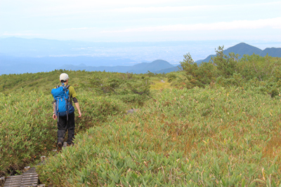 富山の町を見下ろしながら大日平の草原を歩いている写真