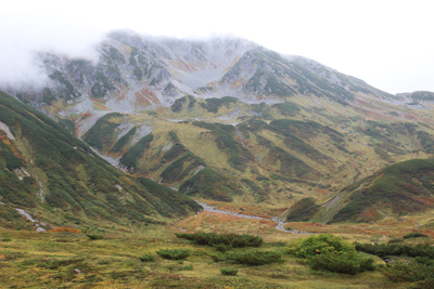 草モミジも始まり秋色を帯びてきた立山の写真