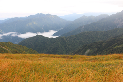 草紅葉を手前に配した毛勝三山の写真